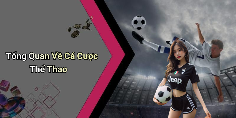 Tổng Quan Về Cá Cược Thể Thao