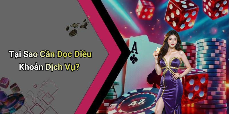 Tại Sao Cần Đọc Điều Khoản Dịch Vụ?